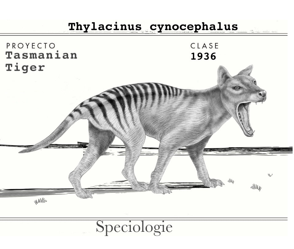 Why "SPECIOLOGIE"