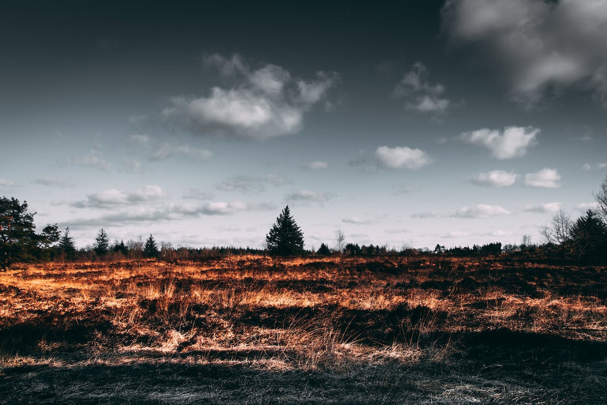 Habitat loss and resource management- old words ring true