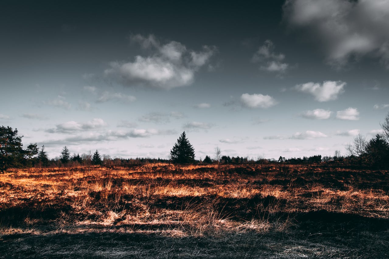 Habitat loss and resource management- old words ring true